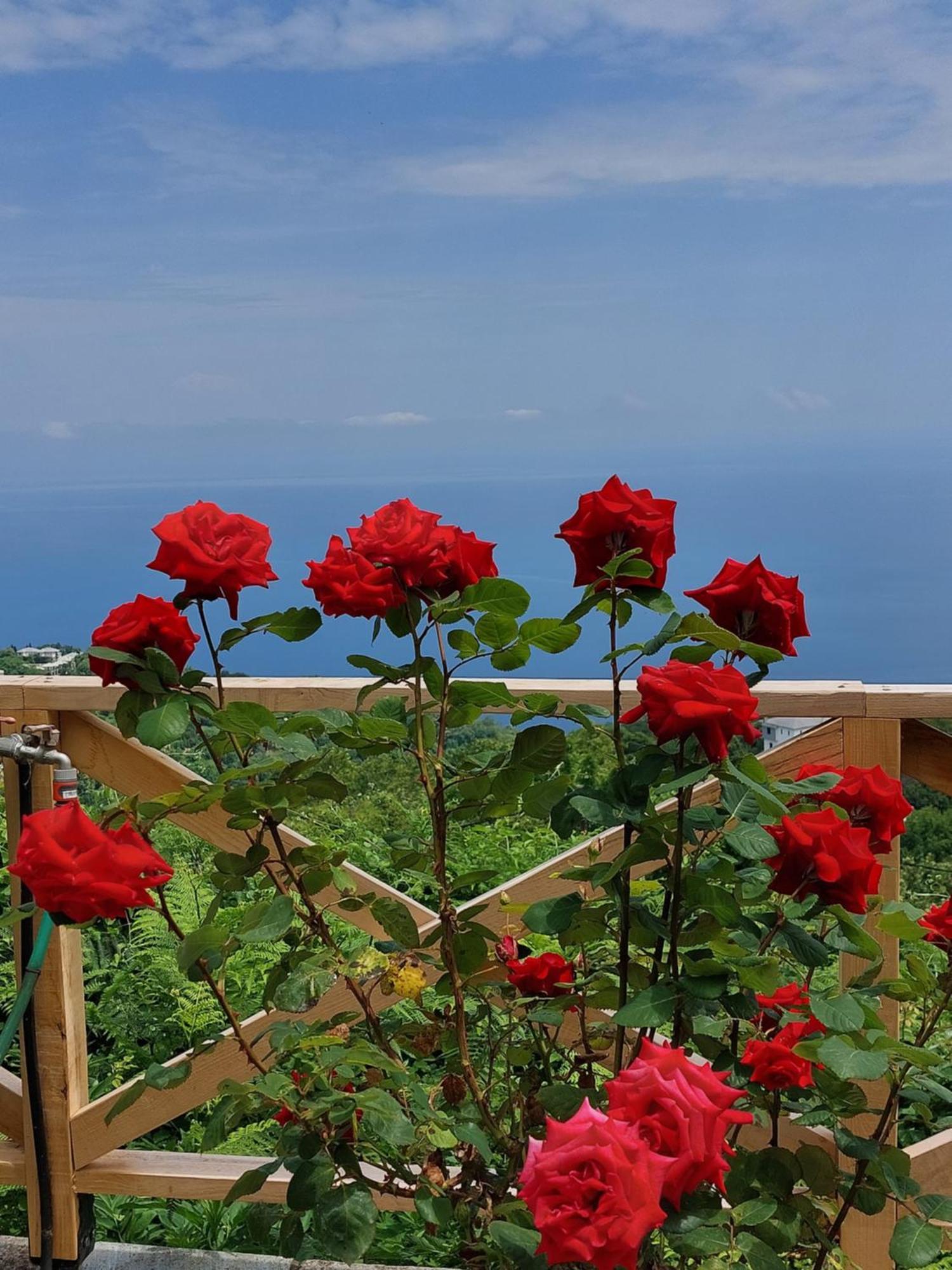 Θαλλώ Luxurious Villa ซาการาดา ภายนอก รูปภาพ
