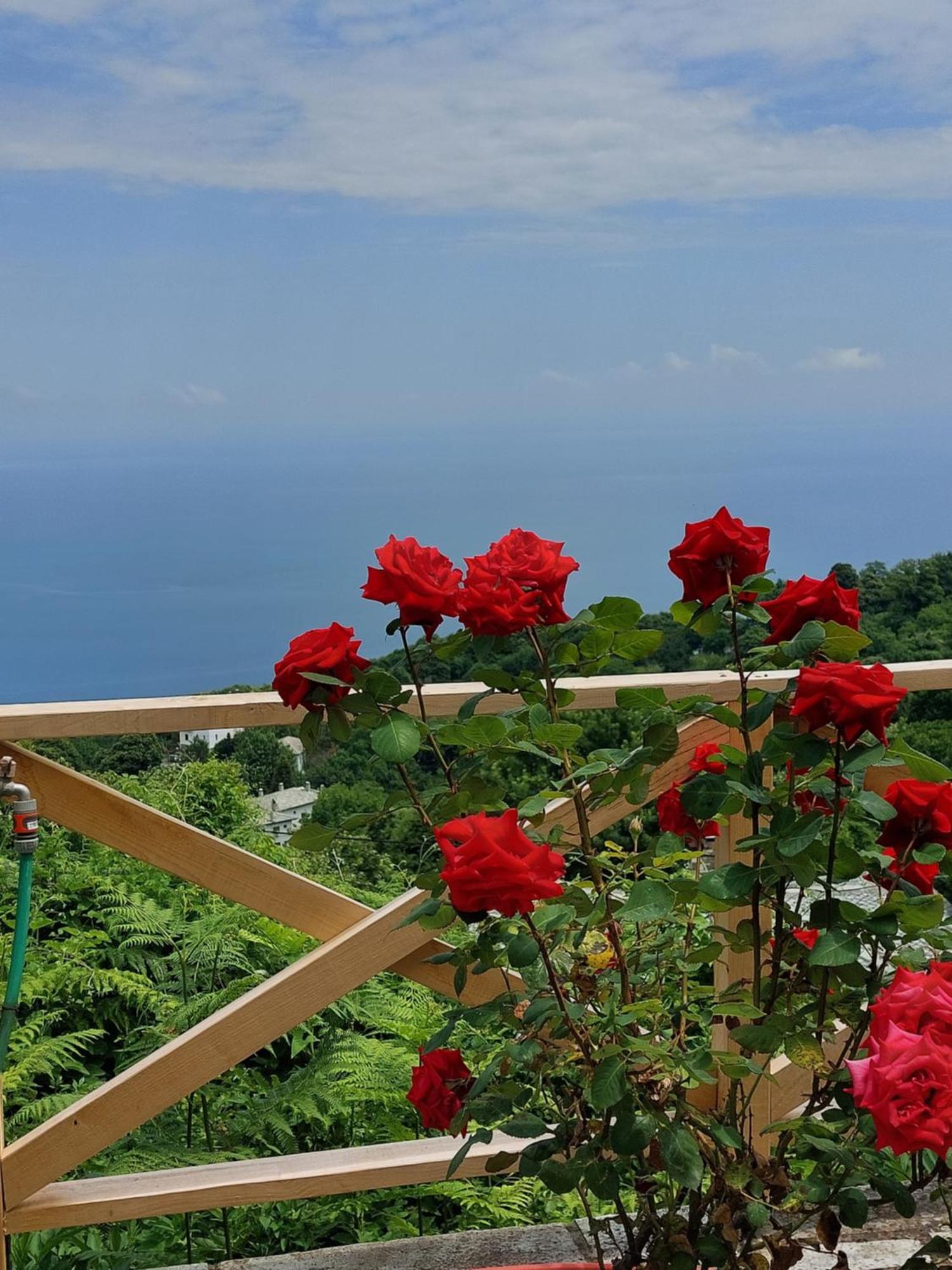 Θαλλώ Luxurious Villa ซาการาดา ห้อง รูปภาพ